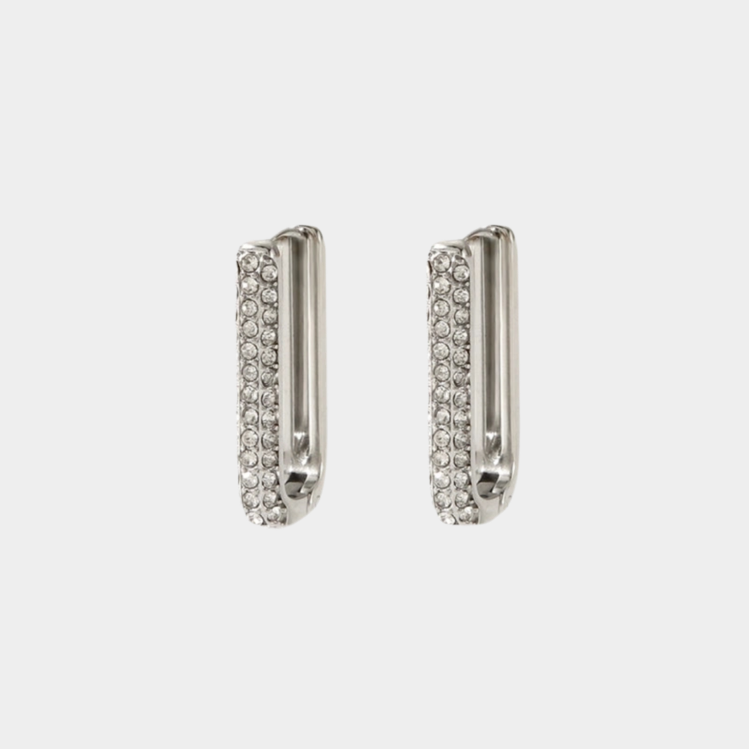 Iris silver zircon earrings.