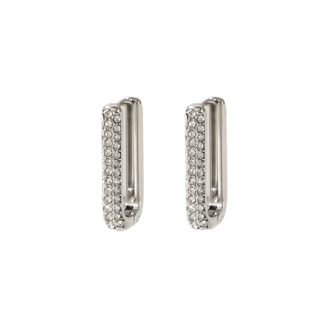 Iris silver zircon earrings.